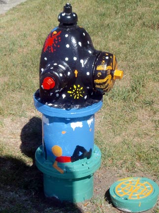 Fireworks - St. Charles and Yale (2)